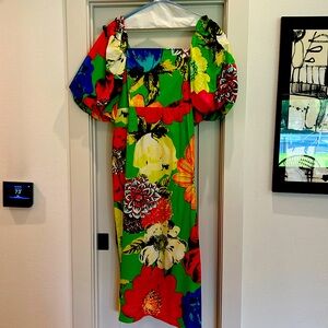 Christoper John Rogers for Target Maxi Dress - 2X